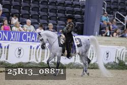 25R13_08871 thumbnail