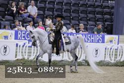 25R13_08872 thumbnail