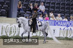 25R13_08873 thumbnail