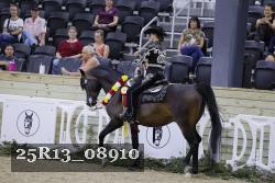 25R13_08910 thumbnail
