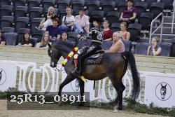 25R13_08911 thumbnail