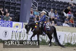 25R13_08914 thumbnail