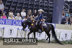 25R13_08915 thumbnail