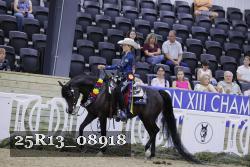 25R13_08918 thumbnail