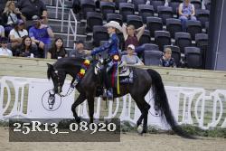 25R13_08920 thumbnail