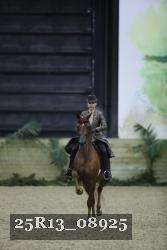 25R13_08925 thumbnail