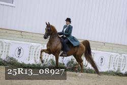 25R13_08927 thumbnail