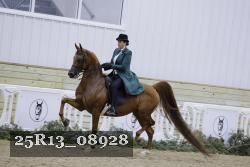 25R13_08928 thumbnail