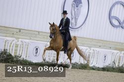 25R13_08929 thumbnail