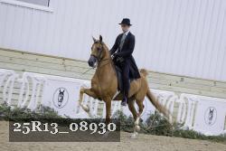 25R13_08930 thumbnail