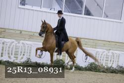 25R13_08931 thumbnail