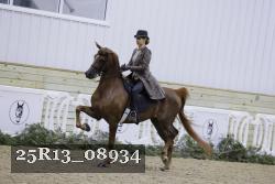25R13_08934 thumbnail