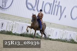 25R13_08936 thumbnail