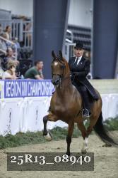 25R13_08940 thumbnail