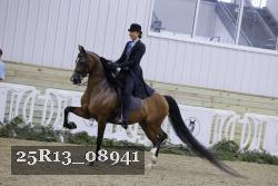 25R13_08941 thumbnail