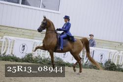 25R13_08944 thumbnail