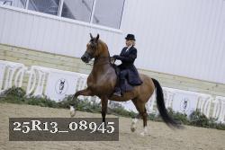 25R13_08945 thumbnail