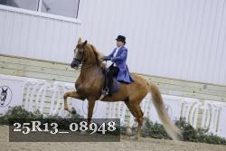 25R13_08948 thumbnail