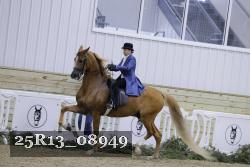 25R13_08949 thumbnail