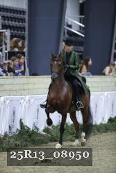25R13_08950 thumbnail