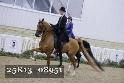 25R13_08951 thumbnail