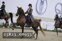 25R13_08953 thumbnail
