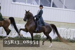25R13_08954 thumbnail