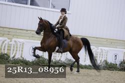 25R13_08956 thumbnail