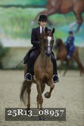 25R13_08957 thumbnail