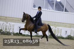 25R13_08958 thumbnail