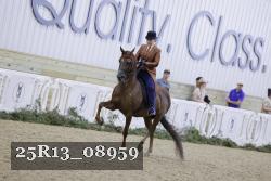 25R13_08959 thumbnail