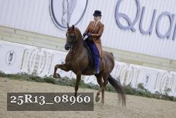 25R13_08960 thumbnail