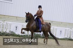 25R13_08961 thumbnail