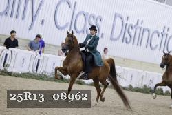 25R13_08962 thumbnail