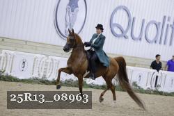 25R13_08963 thumbnail