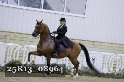 25R13_08964 thumbnail