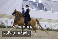 25R13_08965 thumbnail