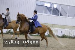 25R13_08966 thumbnail