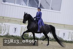 25R13_08967 thumbnail
