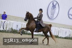25R13_08968 thumbnail