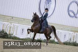 25R13_08969 thumbnail