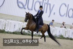 25R13_08970 thumbnail