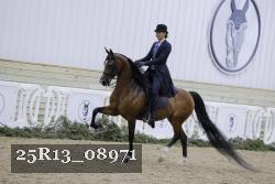 25R13_08971 thumbnail