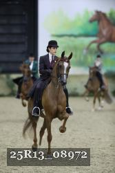 25R13_08972 thumbnail