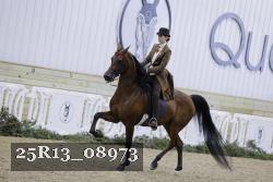 25R13_08973 thumbnail
