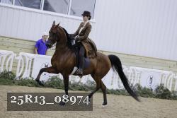 25R13_08974 thumbnail