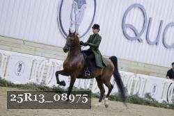 25R13_08975 thumbnail