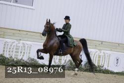 25R13_08976 thumbnail