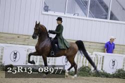 25R13_08977 thumbnail