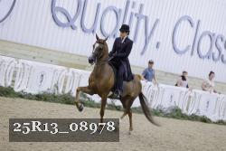 25R13_08978 thumbnail